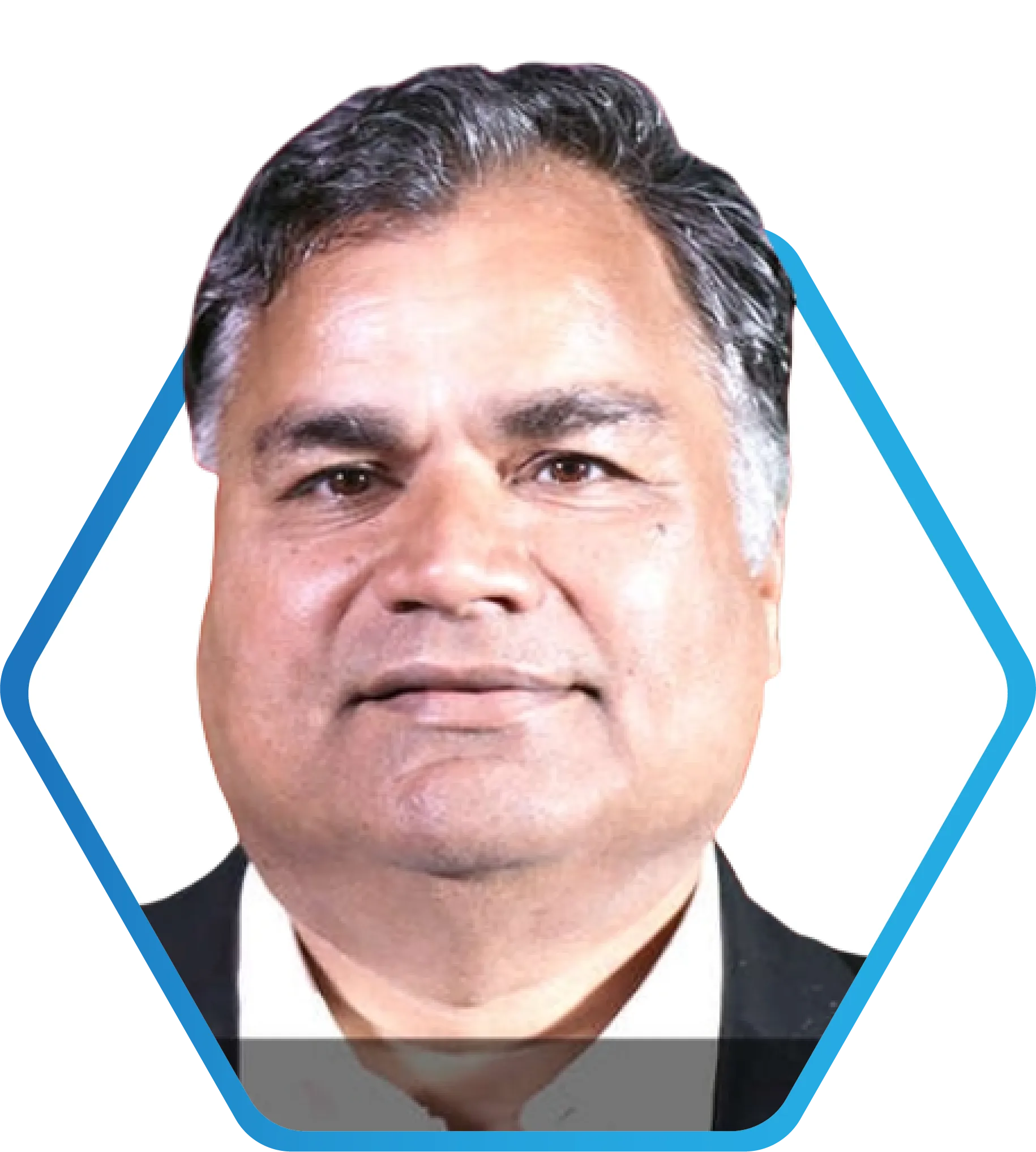 Dr Anil Pareek, President