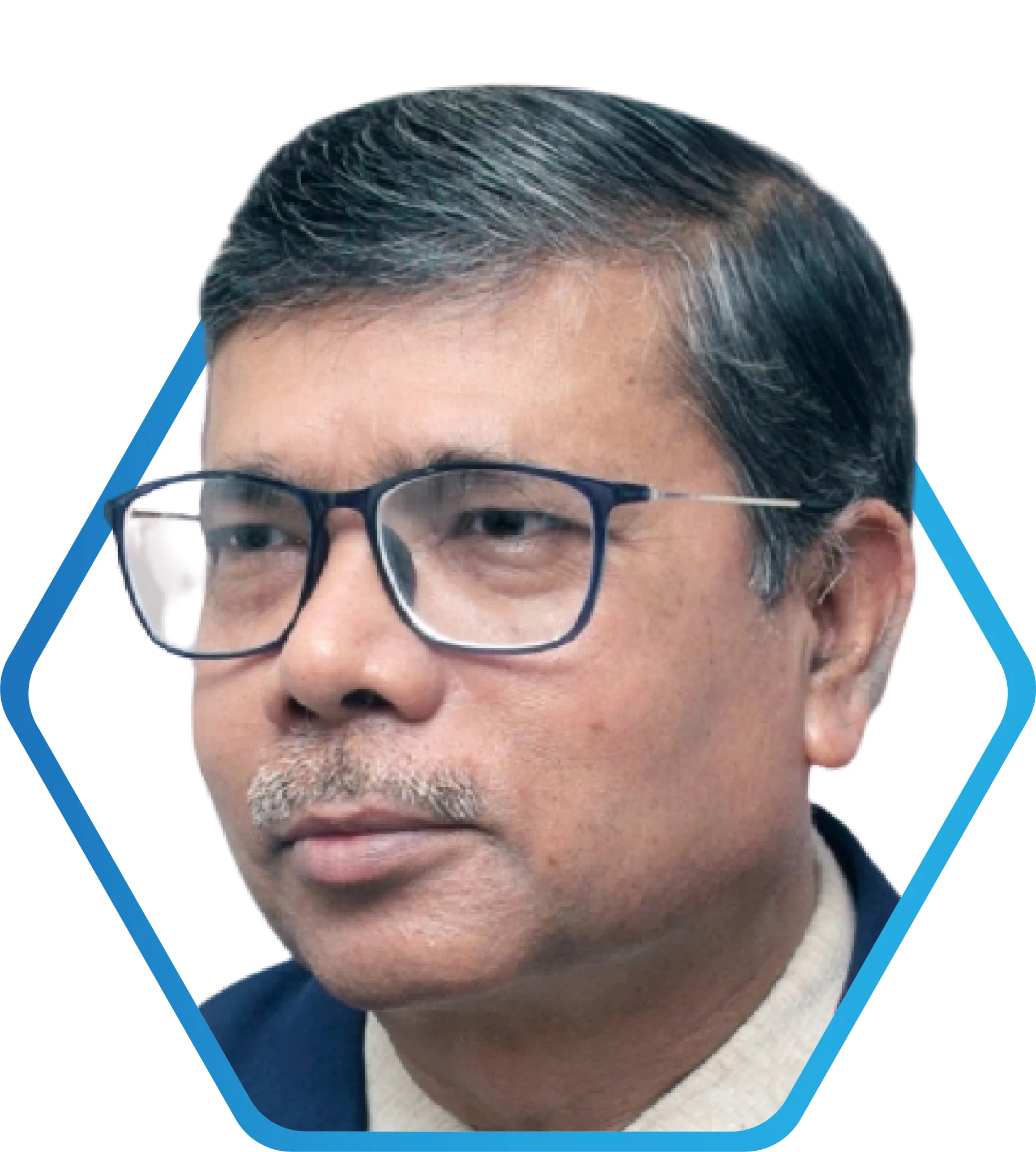 Dr Subhash C Mandal, Vice President & Chairman